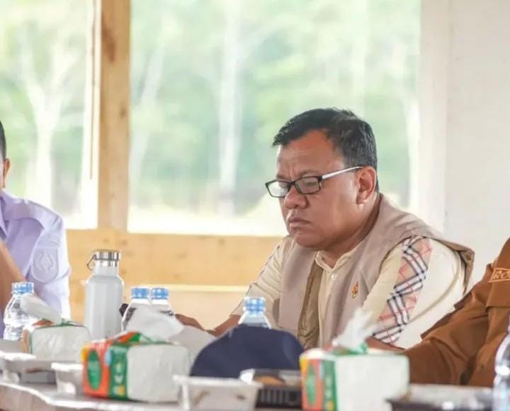 Bekas Tambang di Kuansing Disulap Jadi Lahan Pertanian, Targetkan Swasembada Beras