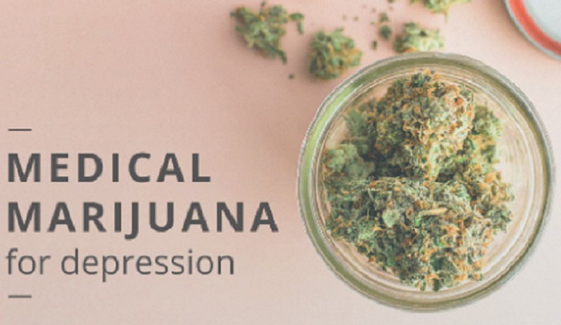 Apakah Ganja Medis Bisa Bikin High dan Kecanduan?