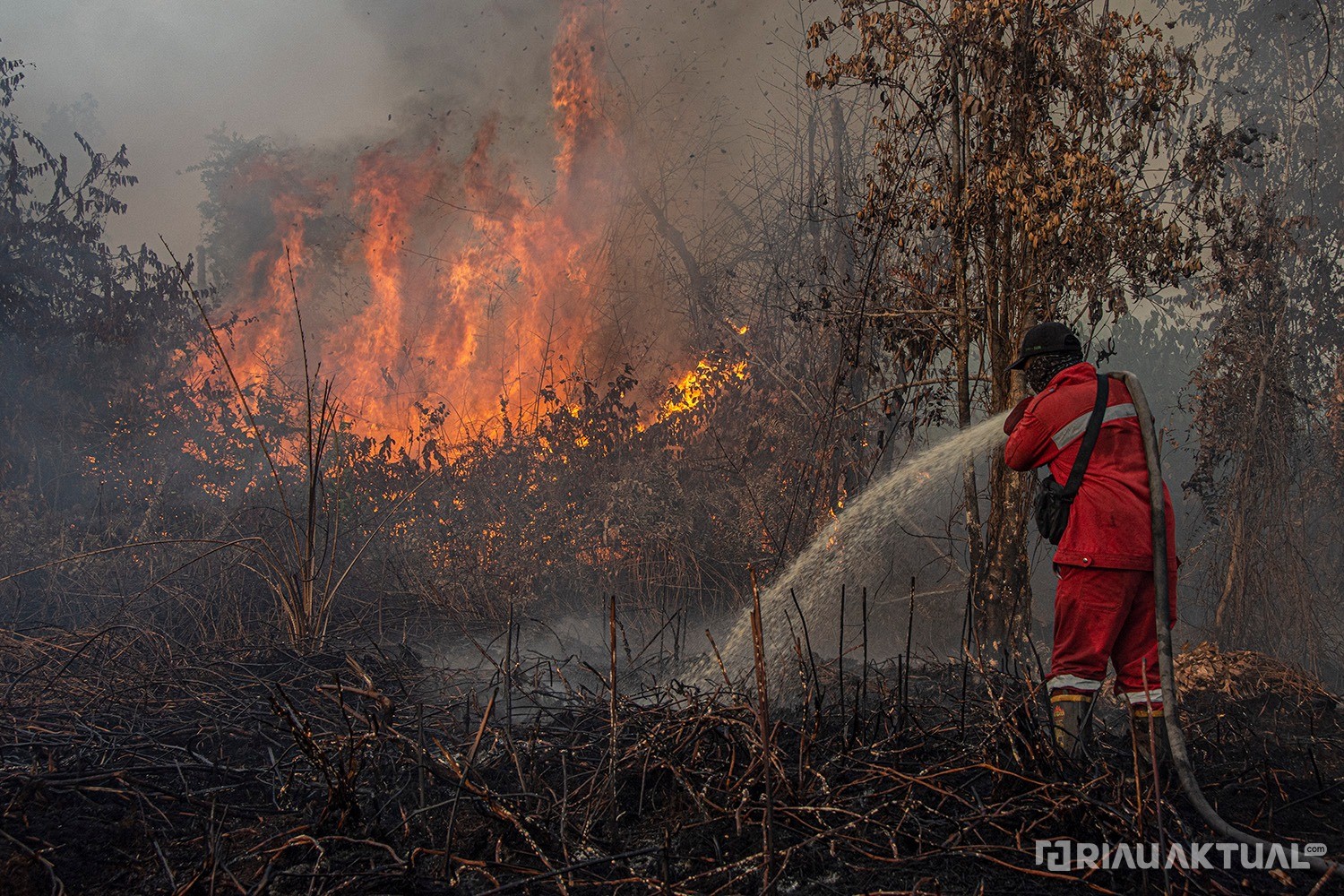 68 Titik Panas Terdeteksi di Riau, Rohil dan Meranti Paling Banyak