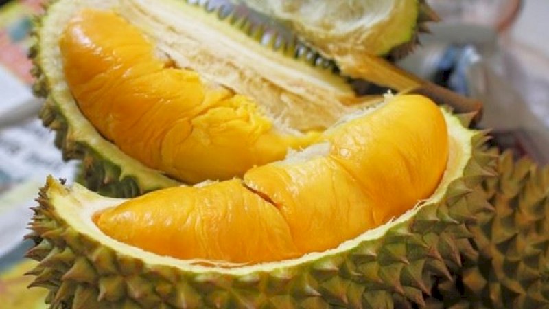 Woow.. Kurang dari 1 Jam, Durian Senilai Rp216 Miliar Ludes Terjual