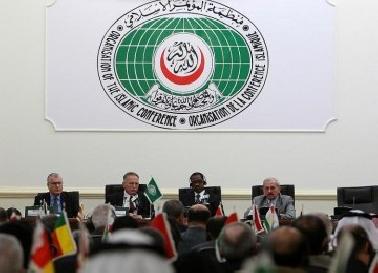 Berikut Negara OKI yang Tidak Mendukung Status Palestina