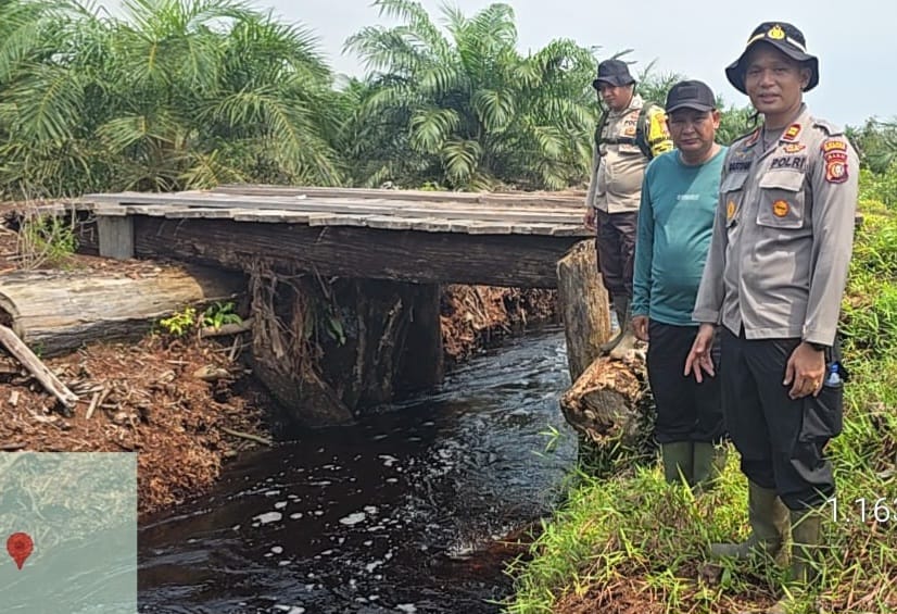 Pasukan Jenderal Temukan Dugaan Ilegal Loging Dekat Cagar Biosfer Bengkalis