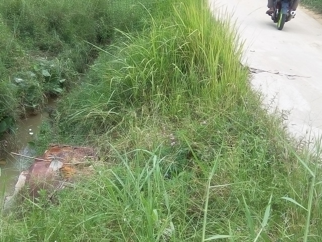 Masyarakat Jalan Swadaya Bengkalis Butuh Jembatan