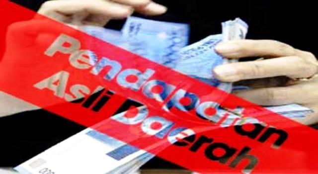 Perlu Ketegasan untuk Menggenjot PAD dari Parkir