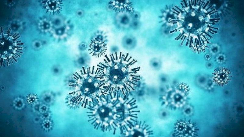 Malaysia Temukan Tipe Virus Corona 10 Kali Lebih Mudah Menular