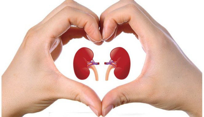 Sering Dilakukan, 5 Kebiasaan Ini Ternyata Bisa Rusak Ginjal