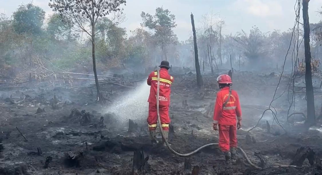 Lonjakan Titik Panas di Sumatera, BMKG Pekanbaru Ingatkan Kewaspadaan Karhutla