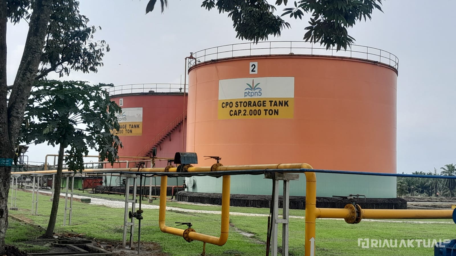 Harga CPO Riau Meroket, PT Inecda Catat Rekor Tertinggi