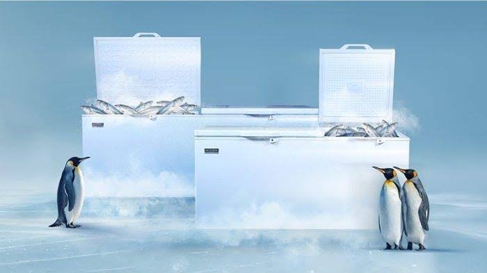 MODENA Luncurkan Chest Freezer Terbaru, Solusi Penyimpanan Andal untuk Pelaku Usaha