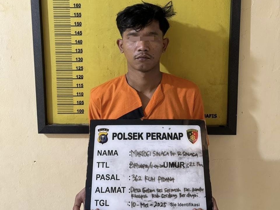 Apes, Motor Curian Dicuri, Pelaku Diamankan Polsek Peranap di Sumut