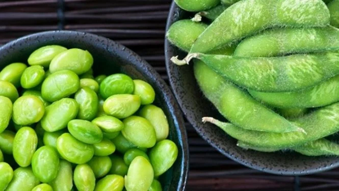 Deretan Makanan Mengandung Protein Tinggi untuk Membakar Lemak