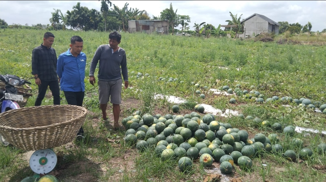 Potensi Pergerakan Ekonomi, Azwendi : Pemko Pekanbaru Harus Perhatikan Petani