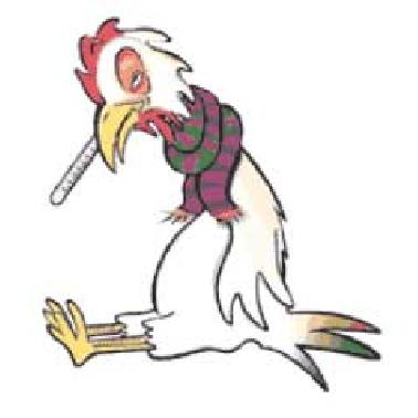 Distanak Pekanbaru Sebar 4 Tim Pantau Flu Burung