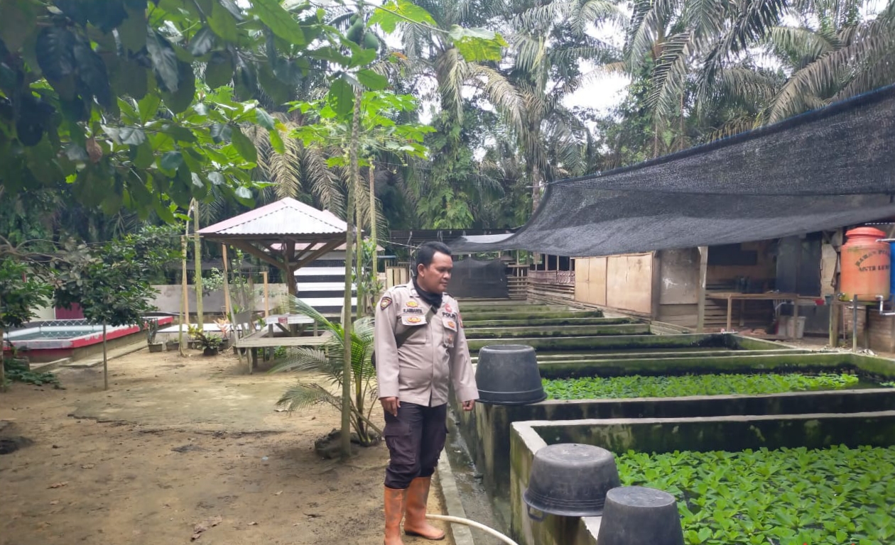 Ketahanan Pangan Nasional Dimulai dari Desa, Ini Langkah Polsek Bangko Pusako