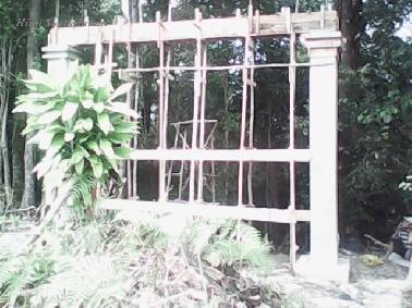 Hutan Larangan Kampar Akan Jadi Tempat Wisata