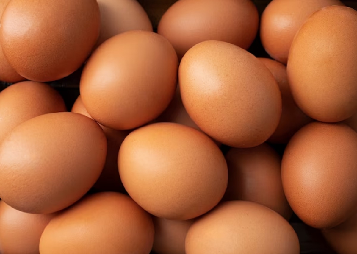 Berikut 5 Makanan Ajaib untuk Jaga Kesehatan Otak dan Tingkatkan Daya Ingat