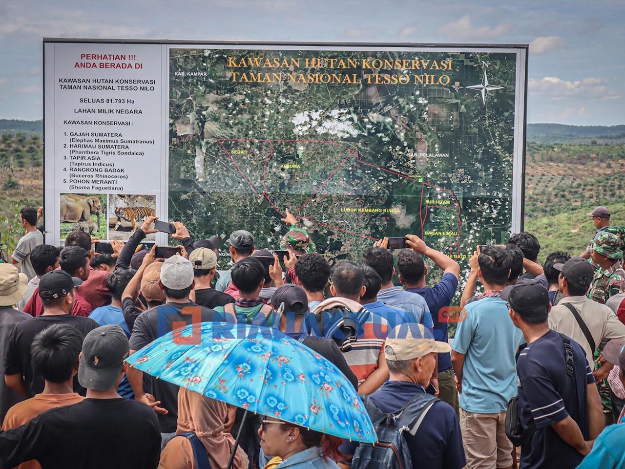 Tesso Nilo Disita Negara, Era Baru Penyelamatan Hutan dari Cengkeraman Sawit Ilegal