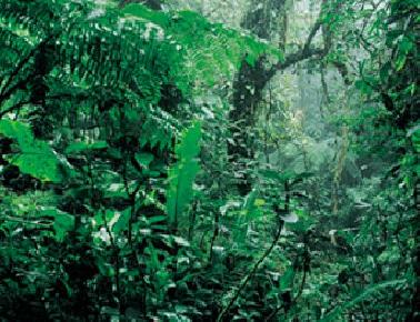 BLH Riau Peroleh Apresiasi Dari Mentri Lingkungan Hidup