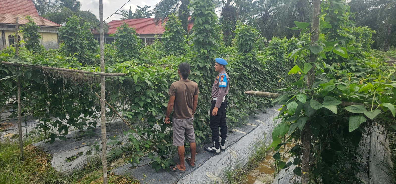Polsek Bangko Pusako Dukung Program Ketahanan Pangan di Bangko Kiri