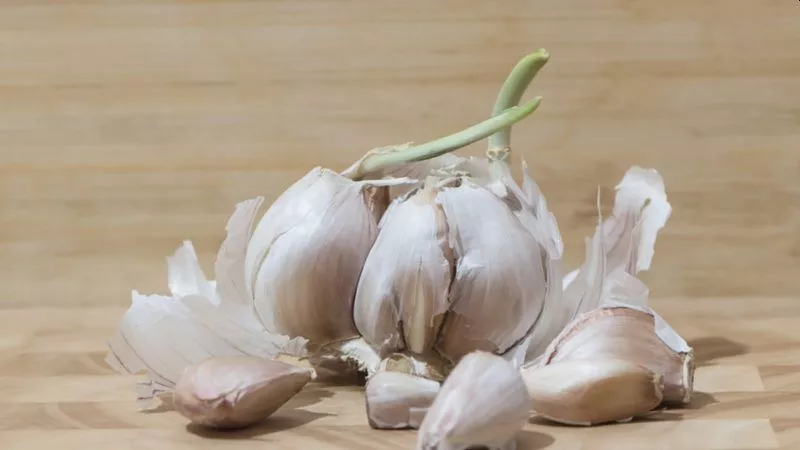 Hilangkan Jerawat Kamu dengan Bawang Putih