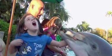 Lumba-lumba Gigit Tangan Anak Kecil