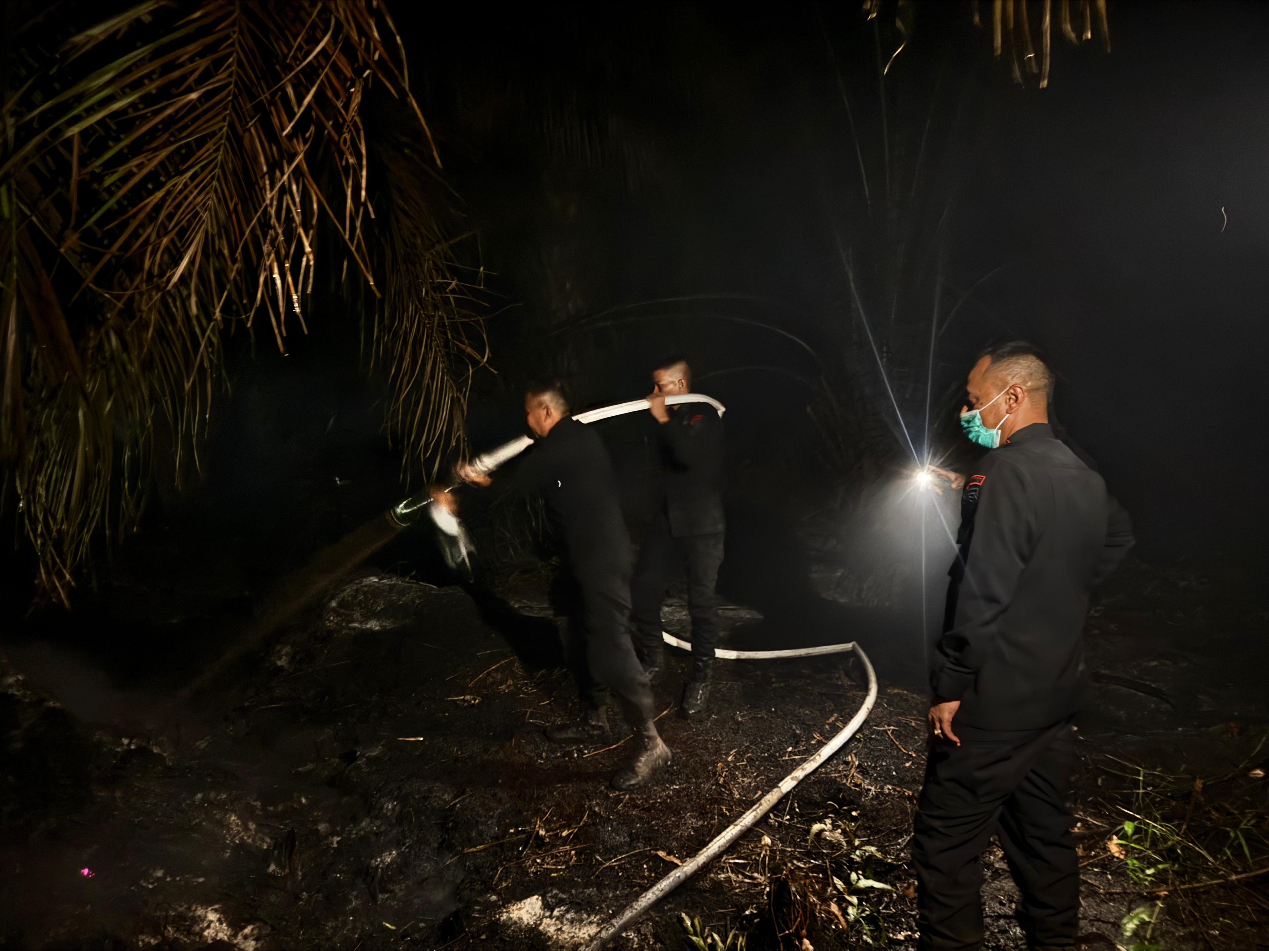 Karhutla di Rohil, Dansat Brimob Riau Pimpin Pemadaman hingga Larut Malam