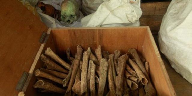 Meniti Tulang-belulang Tentara Jepang di Indonesia