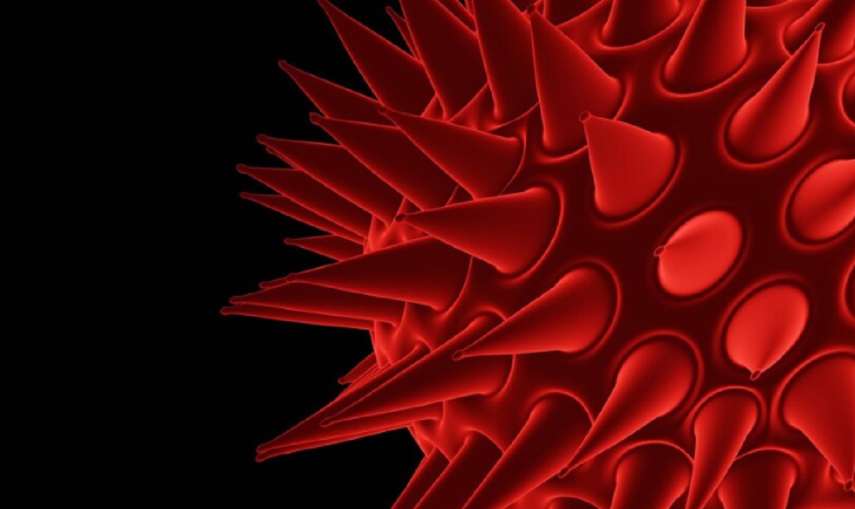 Wabah Virus Marburg di Rwanda: 10 Meninggal dan 29 Terinfeksi, WHO Beri Peringatan