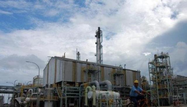 Perusahaan Diminta Utamakan Pekerja Lokal