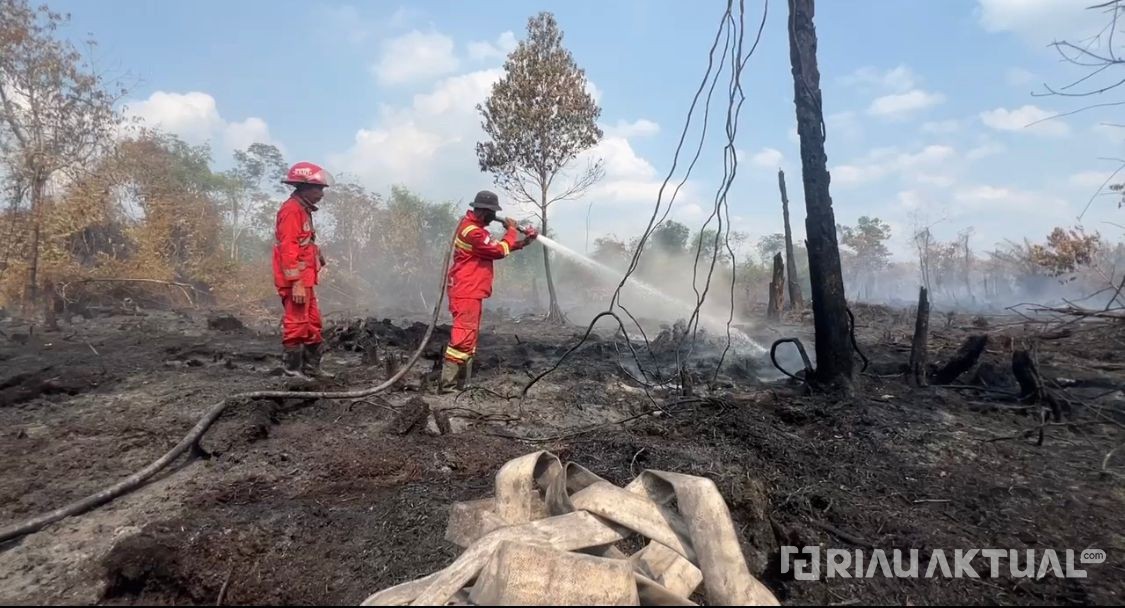 Polisi Selidiki Dugaan Kesengajaan Karhutla di Kampar