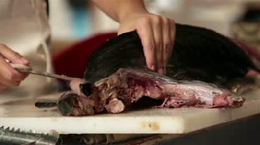 Daging dan Ikan di Pekanbaru layak konsumsi