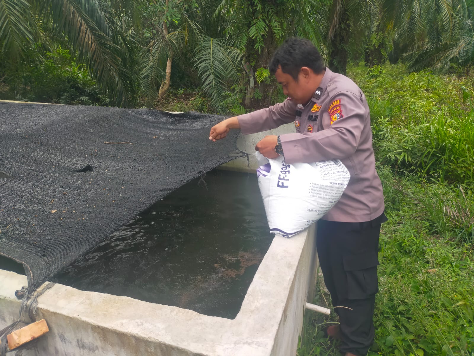 Dorong Ketahanan Pangan Lewat Pembinaan Petani di Teluk Bano, Begini Cara Polsek Bangko