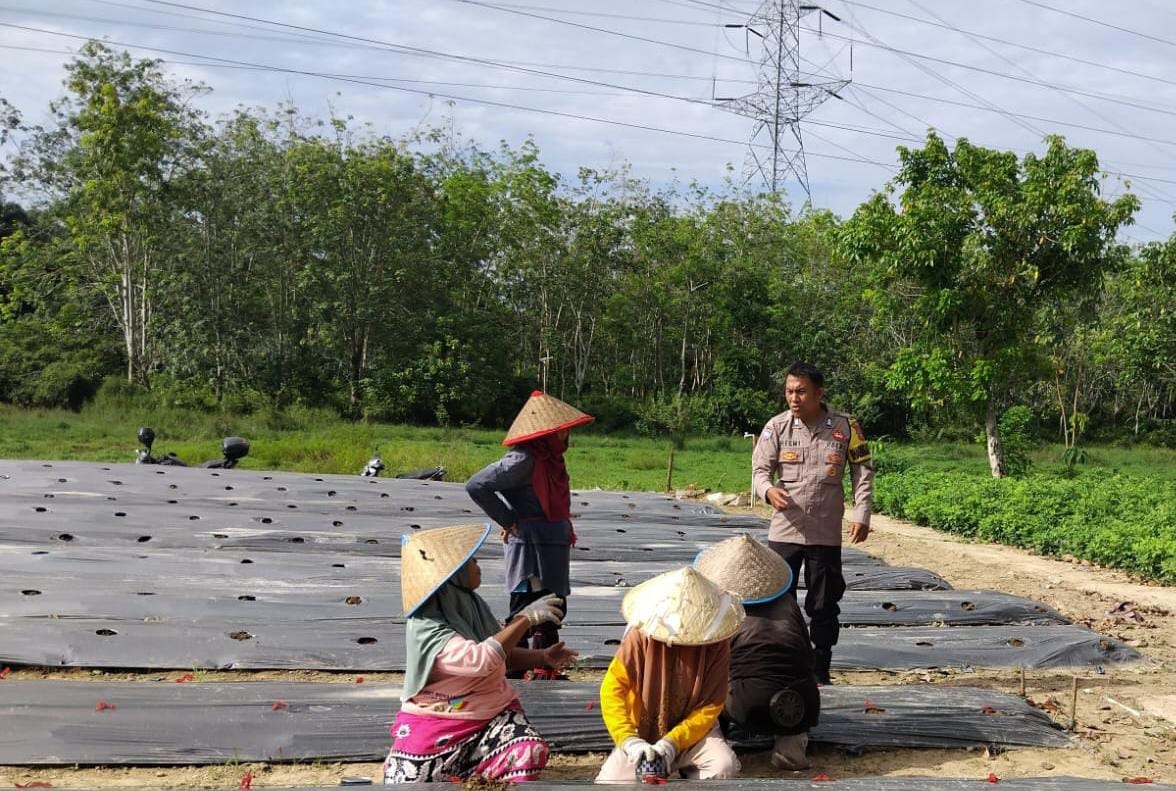Polsek Tambang Imbau Petani Jaga Keamanan Pasca Pilkada 2024
