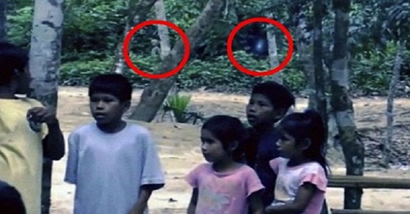 4 Misteri tentang Hutan yang Tak Bisa Dijelaskan, Apa Itu?