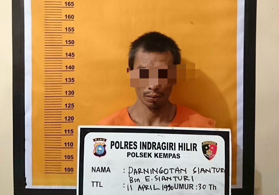 Hanya karena Disebut Jual Sawit Busuk,  Parningotan Bunuh dan Permalukan Korbannya