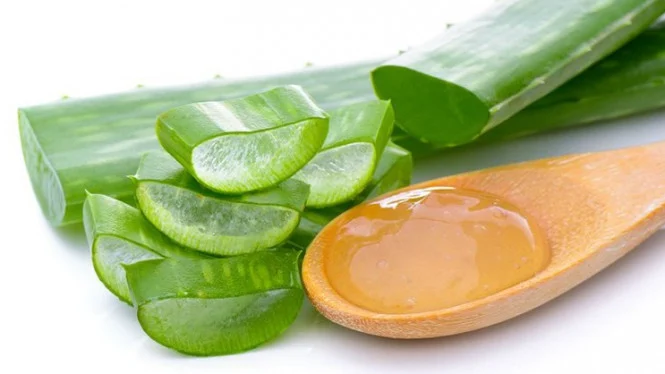 Mengatasi Rambut Beruban dengan Lidah Buaya