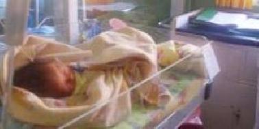 Orangtua Buang Bayi di Hutan dengan Mulut Dilakban