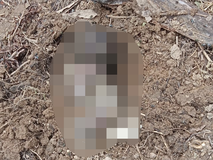 Geger, Masyarakat Pangean Temukan Bayi di Lokasi Wisata