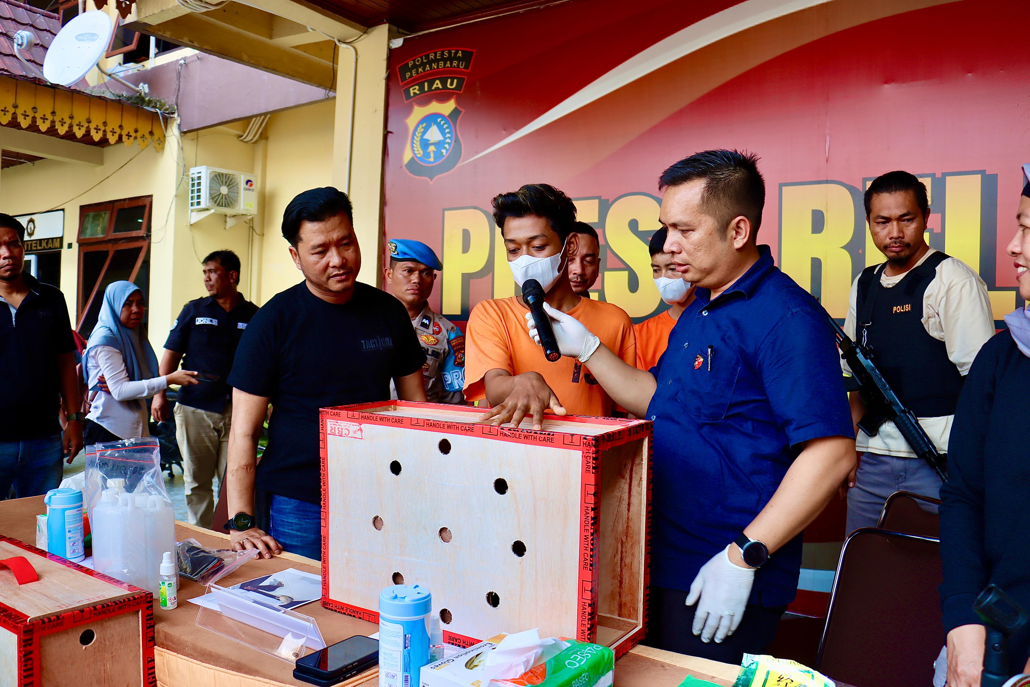 Satresnarkoba Polresta Pekanbaru Amankan Pelaku Narkotika dengan Modus Kandang Ayam