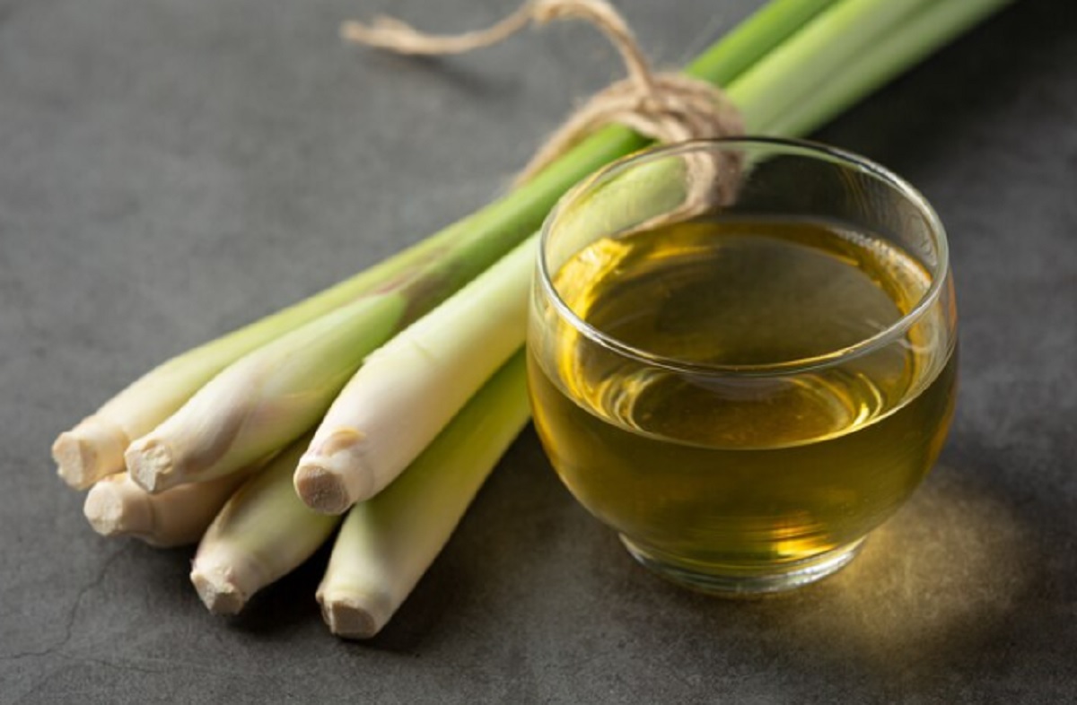 Ini 6 Manfaat Sereh bagi Kesehatan Tubuh