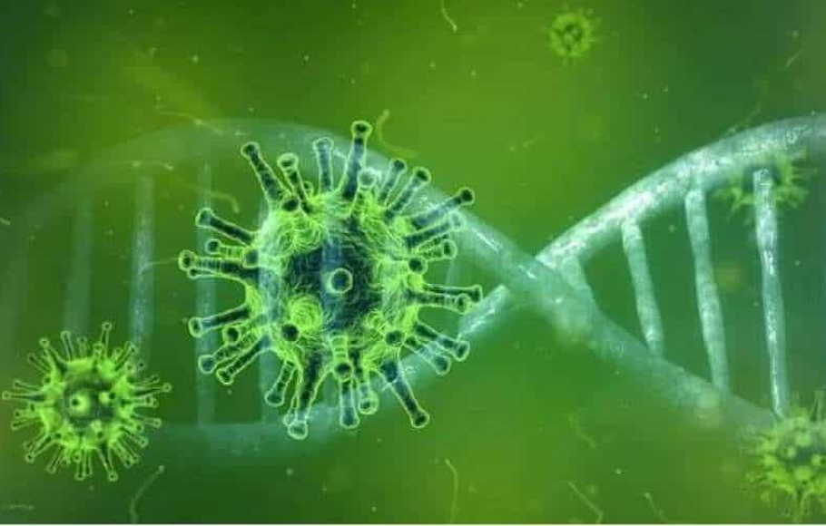 Dokter India Makin Khawatir, Kini Merebak Jamur Hijau