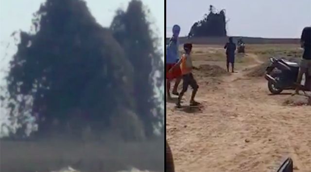 Video Semburan Lumpur Blora, Belasan Kerbau Tenggelam