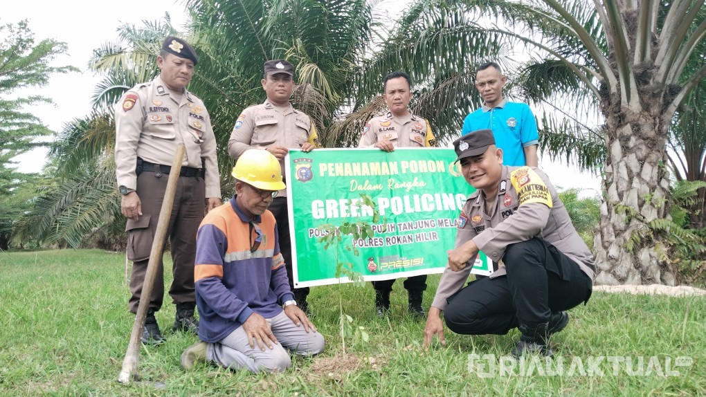 Green Policing Polri di Rohil, Polsek Tanah Putih Tanjung Melawan Tanam Pohon Trembesi