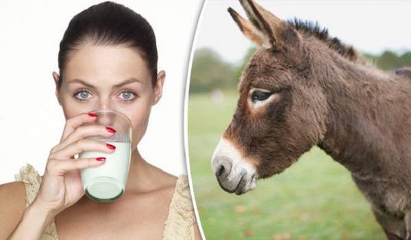 Ini 3 Manfaat Susu Keledai untuk Kulit Cantikmu