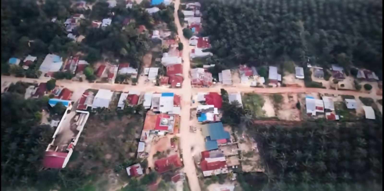 Tempo Relokasi Mandiri Berakhir, Warga Tetap Bertahan di Kawasan TNTN dan Harapkan Solusi