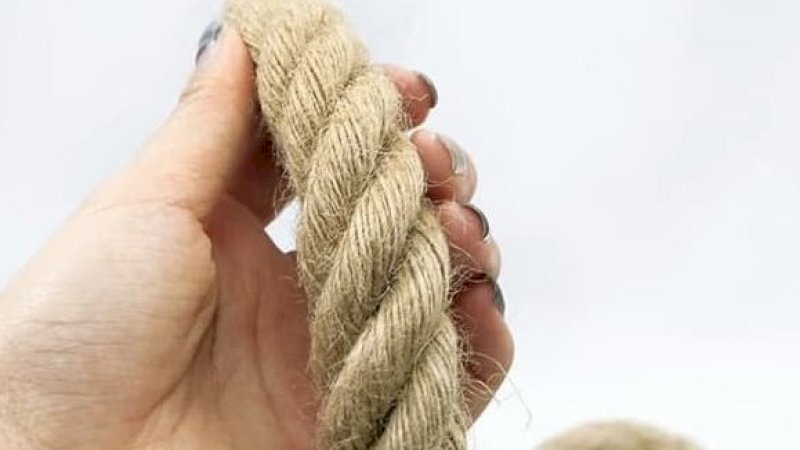 Digigit Ular Berbisa, Pria Ini Selamat Usai Balas Mengigitnya hingga Mati