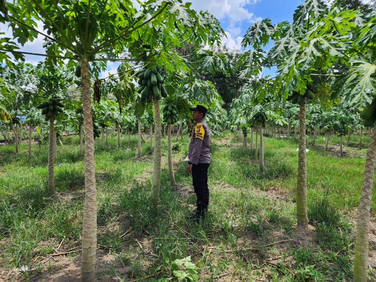 Dukung Program Asta Cita, Polsek Bangko Pusako Gelar Pembinaan Ketahanan Pangan