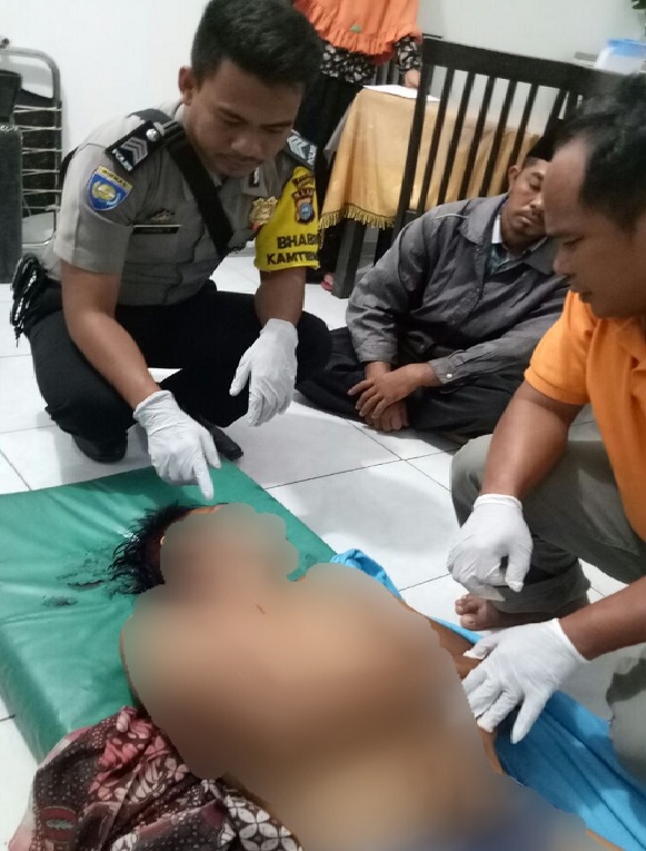 Harimau Sumatera di Inhil Riau Kembali Mengganas, Satu Warga lagi Tewas