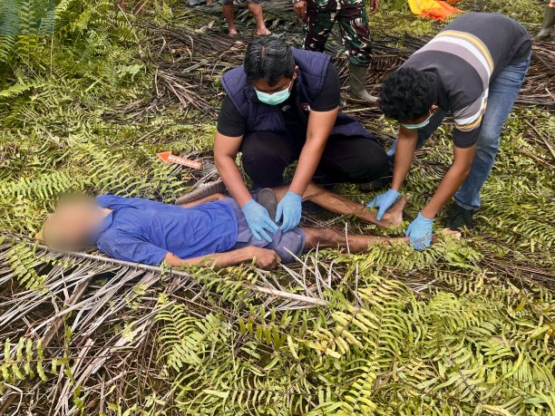 Warga Inhu Ditemukan Tewas Usai Ambil Brondolan Sawit