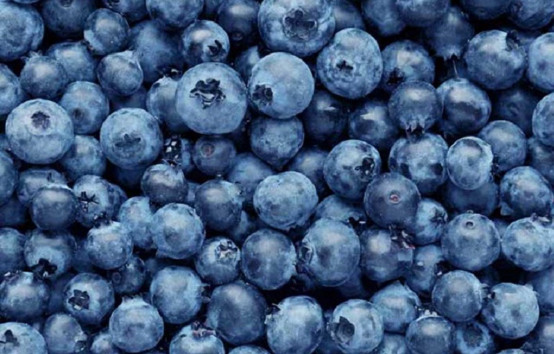 Ini Deretan Makanan yang Harus Dikonsumsi bagi Kesehatan Otak